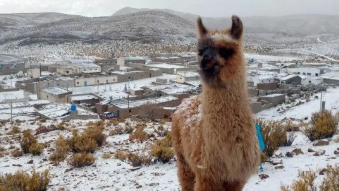 �Nieva en Jujuy este lunes? Temperaturas bajo cero y lluvias
