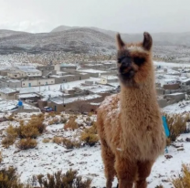 ¿Nieva en Jujuy este lunes? Temperaturas bajo cero y lluvias