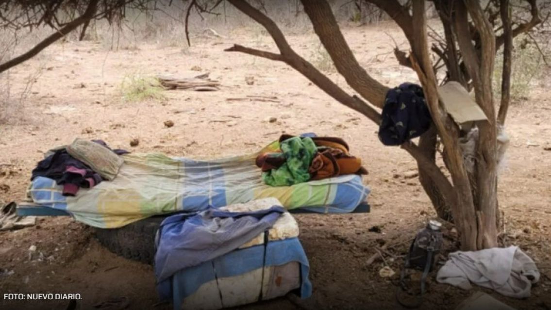 Fueron explotados laboralmente en finca  y recibir�n $15.000.000