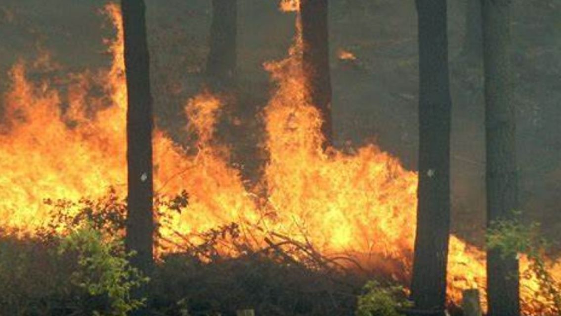 Alerta amarilla por incendios en Jujuy: �Qu� zonas afectar�?