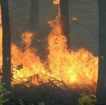 Jujuy entre las zonas de mayor riesgo de incendios del país