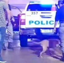 Allanaron un b&uacute;nker narco en Jujuy y secuestraron droga lista para la venta