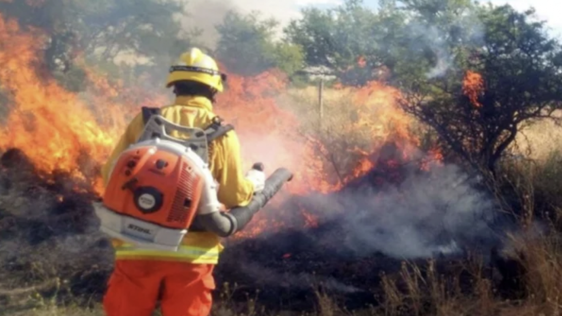 Alerta por incendios en Jujuy: en su mayor�a son generados por "la mano del hombre"