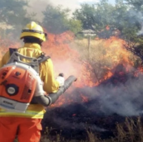 Alerta por incendios en Jujuy: en su mayoría son generados por "la mano del hombre"