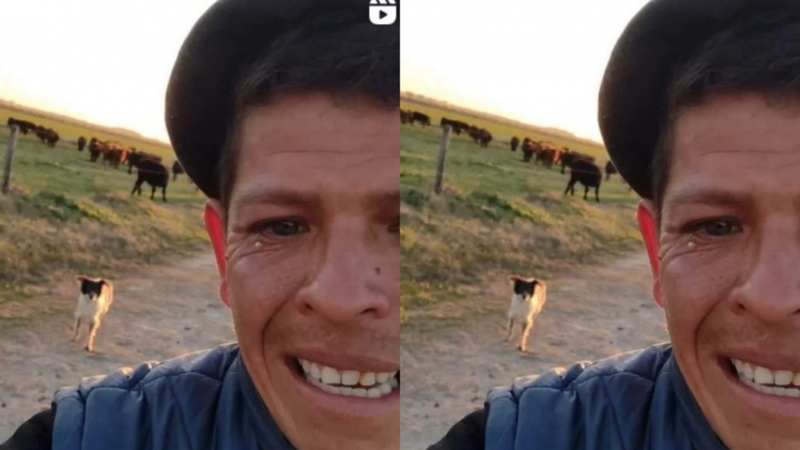 Peón rural perdió su trabajo y se volvió viral porque lloró por su perrito