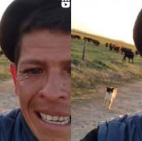 Peón rural perdió su trabajo y se volvió viral porque lloró por su perrito
