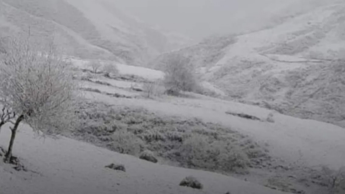 Fr�o y nieve en Jujuy: el pedido de un juje�o que caus� pol�mica