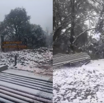 Belleza inigualable: así amaneció el Parque Nacional Calilegua por la nieve