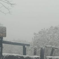 Cerraron el Parque Provincial potrero de Yala por las intensas nevadas: Los detalles