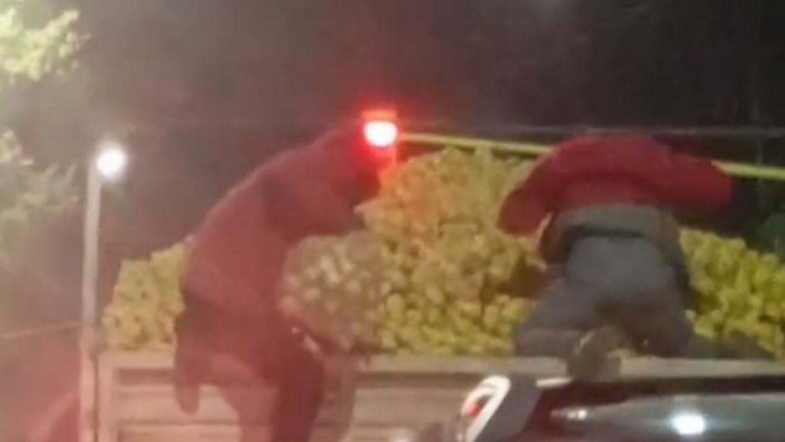 Saquearon un camión de naranja mientras esperaba en un semáforo en Libertador