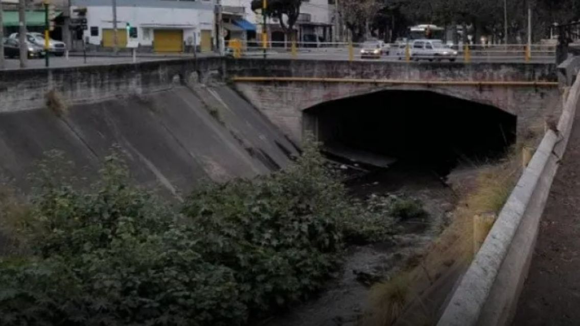 Mir� dentro de un canal y grit� pidiendo ayuda: "�Pobrecito!"