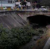 Miró dentro de un canal y gritó pidiendo ayuda: "¡Pobrecito!"