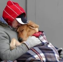 La triste historia de Juan, el hombre que muri&oacute; de fr&iacute;o en la calle por no abandonar a su perro