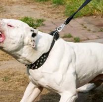 Una mujer soltó sus perros para que ataquen a los policías: Quedó detenida