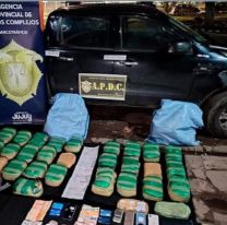 Decomisaron más de 60 kilos de marihuana en Jujuy: Hay ocho narcos detenidos