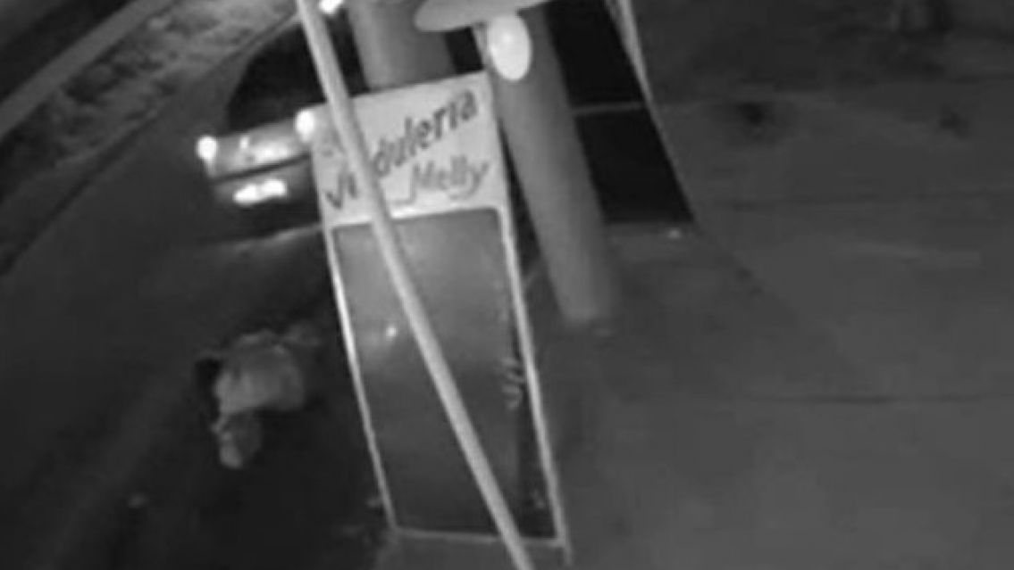 Machado se tiró de un auto andando: denunció intento de secuestro pero no se acordaba de nada