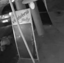 Machado se tiró de un auto andando: denunció intento de secuestro pero no se acordaba de nada