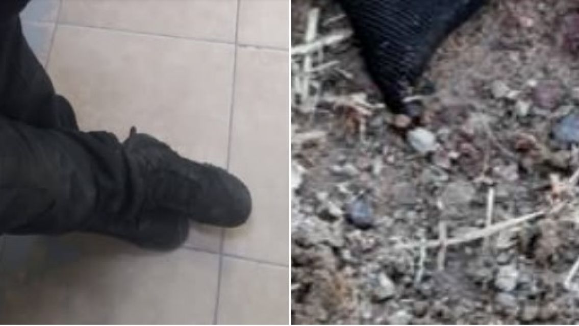 El jujeño más violento: golpeó a su mamá y le arrancó un dedo a un policía con los dientes