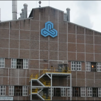 Ledesma echó a 22 trabajadores rurales más