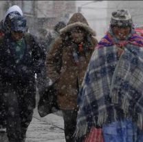 La ola polar llegó a Bolivia: hay muertes y pérdidas agrícolas masivas