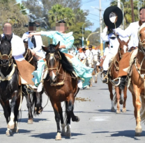 Piden que no se usen más caballos en los desfiles, ¿qué pasará en Jujuy?