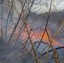 Jujuy: quemas de pastizales descontroladas pusieron en riesgo fincas y rutas