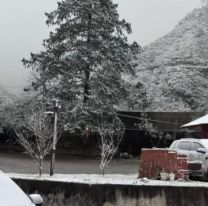 Alertan sobre una nueva ola polar que afectará a Jujuy: Los detalles