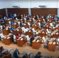 Legisladores jujeños muy duros contra Milei: "Quiere apropiarse de fondos de los jujeños"