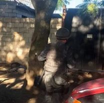 Conmoción en Alto Comedero: Jujeña se peleó con sus hermanas y las apuñaló