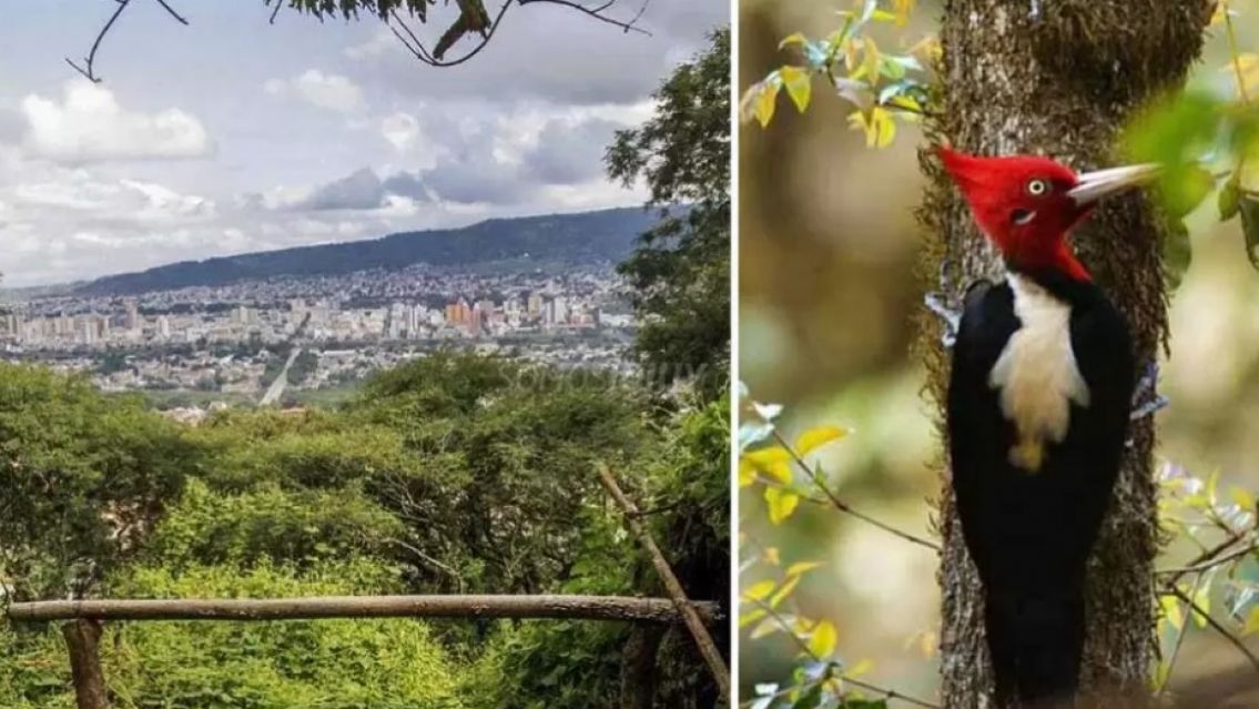 Naturaleza, juegos y caminatas: conocé las propuestas del Parque Botánico para este receso invernal