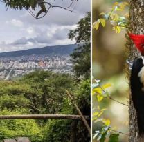 Naturaleza, juegos y caminatas: conocé las propuestas del Parque Botánico para este receso invernal