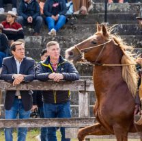Sadir participó de la tradicional Exposición de Caballos Peruanos de Paso en Jujuy