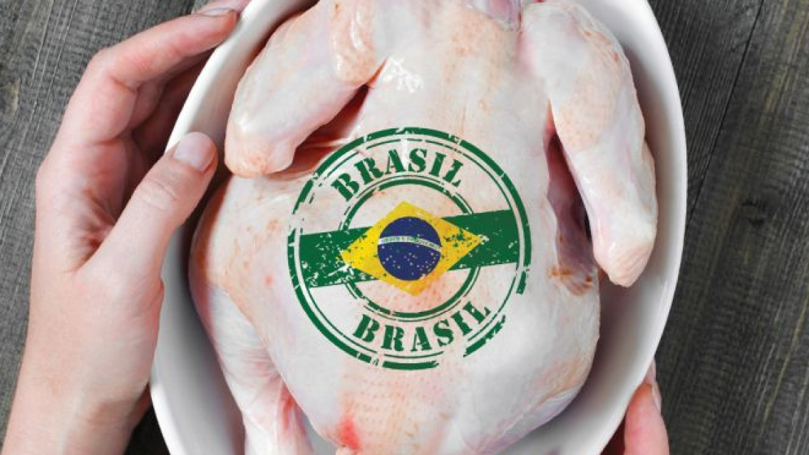 Carnicer�as norte�as ya venden pollo de Brasil: "Es m�s barato"
