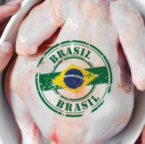 Carnicerías norteñas ya venden pollo de Brasil: "Es más barato"