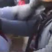 Cuatro señoras jujeñas a las piñas por la herencia: "yo la cuidaba"