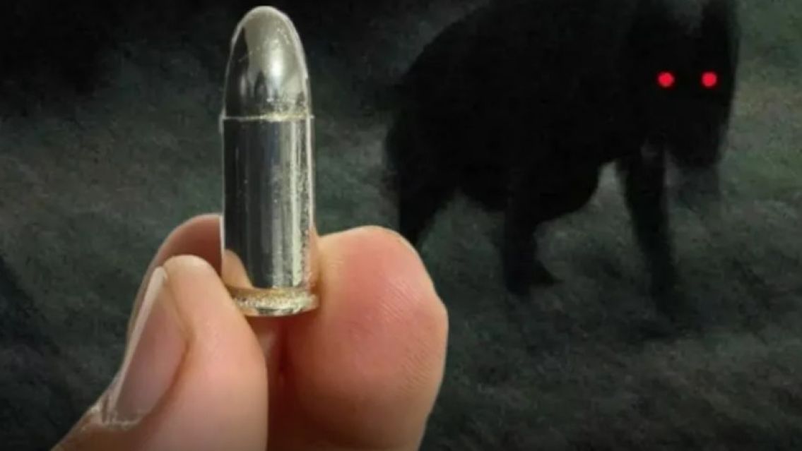 La bala que podr�a frenar al Familiar: "Esta noche salimos a cazarlo"