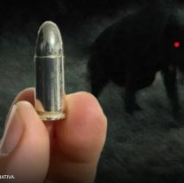 La bala que podría frenar al Familiar: "Esta noche salimos a cazarlo"