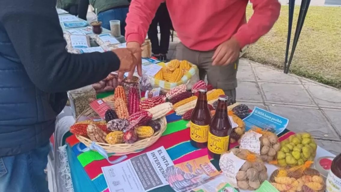 El INTA Jujuy sali� a las calles para mostrar los resultados de sus trabajos en la provincia