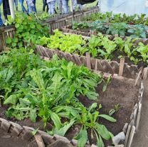 Más de 900 presos se capacitan en producción agropecuaria para facilitar su reinserción