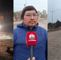"La Bombonera" de Jujuy se llenó de malvivientes: vecinos atraparon a un chorro