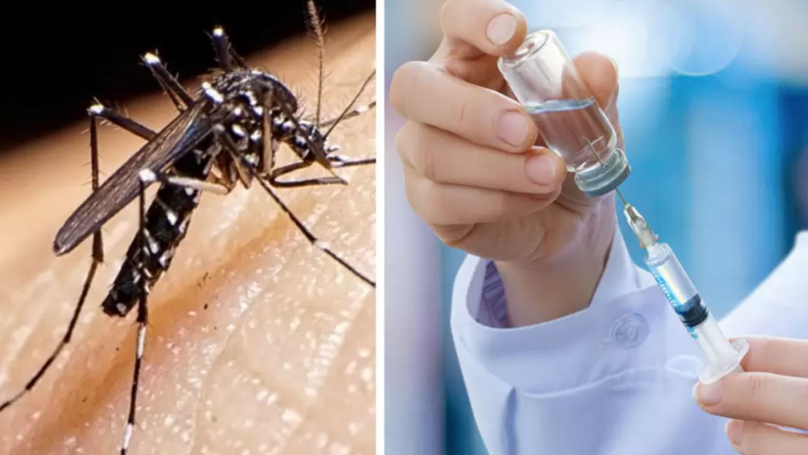 La vacuna contra el dengue supera los $120.000 en farmacias de Jujuy