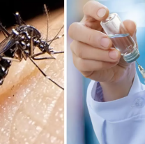 La vacuna contra el dengue supera los $120.000 en farmacias de Jujuy