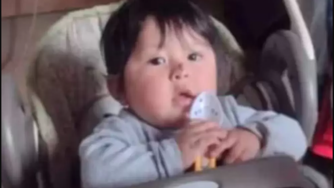 "Fueron los pitbulls": se conoce como murió el bebé que hallaron en un descampado