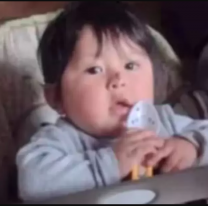 "Fueron los pitbulls": se conoce como murió el bebé que hallaron en un descampado