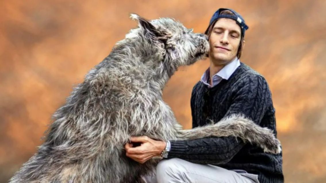 El enorme perro de Iván de Pineda que enamoró a todos: ¿Qué raza es?