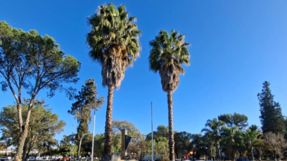 Las provincias que est�n bajo alerta meteorol�gica. �Cambia el tiempo en Jujuy?