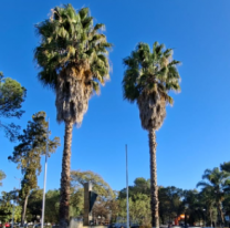 Las provincias que están bajo alerta meteorológica. ¿Cambia el tiempo en Jujuy?