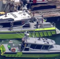 Revelaron detalles de la tragedia en la que murió la nieta de Cris Morena: "Todos..."