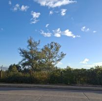 Viento, calor y humo: una jornada agobiante en Jujuy