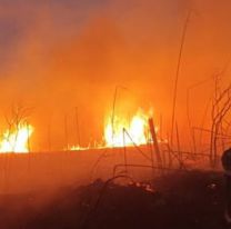 El sentido mensaje del gobernador Sadir a los brigadistas en medio de los incendios en Jujuy